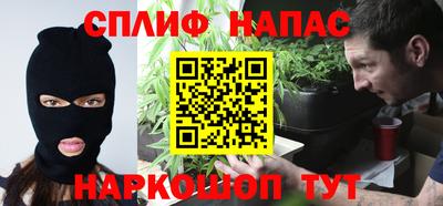 мдпв Дубна