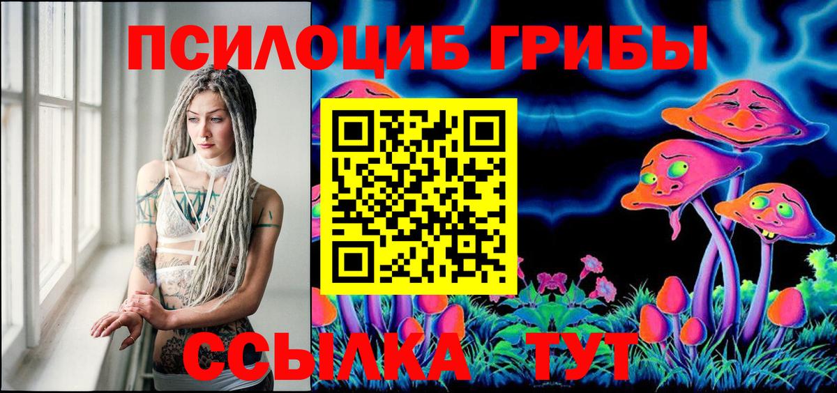 Галлюциногенные грибы Psilocybine cubensis Котельники
