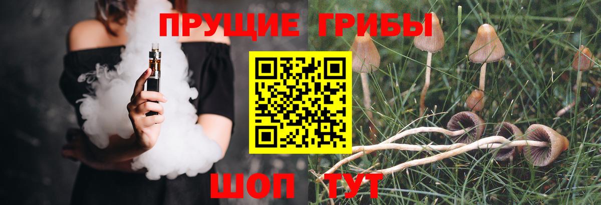 Котельники  Псилоцибиновые грибы Psilocybe  Вход с VPN  Псилоцибиновые грибы мицелий 